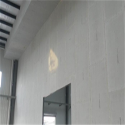 中甸宁波ALC板|EPS加气板隔墙与混凝土整浇联接的实验研讨